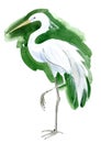 Watercolor illustration of a bird Heron