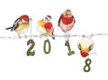 Watercolor illustration with birds for New Year 2018