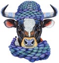 Watercolor illustration of black bull with white spot in knitted blue hat