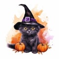 Watercolor illustration of black kitten in witch hat with pumpkins and autumn leaves Royalty Free Stock Photo