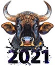 Watercolor illustration of a black powerful bull with number 2021
