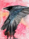 Watercolor illustration of a black raven spreading its wings