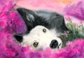 Watercolor illustration of a black and white dog