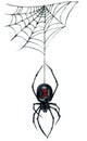 Watercolor Illustration of Black Widow Spider and Web Isolated on White Background