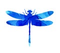 Watercolor illustration of a blue abstract dragonfly with paint stripes Royalty Free Stock Photo