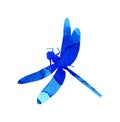 Watercolor illustration of a blue abstract dragonfly with paint stripes Royalty Free Stock Photo