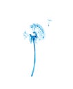 Watercolor illustration of blue dandelion isolated on white background