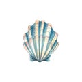 Watercolor illustration of a blue shell isolated object on a white background. Colorful, beautiful. Underwater world