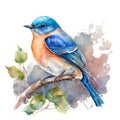 Watercolor illustration of a bluebird on a branch with leaves.