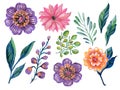 Watercolor illustration Botanical leaves collection foliage abstract gebera marigold flower leaves elements