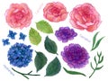 Watercolor illustration Botanical leaves collection foliage camillia carnation hydrangea flower leaves elements hand