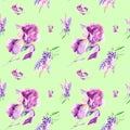 Watercolor illustration Botanical lupines and iris flowers isolated on green background. Seamless pattern Royalty Free Stock Photo