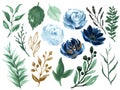 Watercolor illustration Botanical rose teal blue and gold black peony bunch foliage ranunculus wild flower  leaves collection Royalty Free Stock Photo