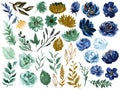 Watercolor illustration Botanical rose teal blue and gold black peony bunch foliage ranunculus wild flower  leaves collection Royalty Free Stock Photo