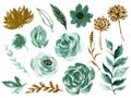 Watercolor illustration Botanical rose teal and gold black peony bunch foliage ranunculus wild flower  leaves collection blossom Royalty Free Stock Photo