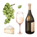 Watercolor illustration of the bottle, one glass wine and green grape. Picture of a alcoholic drink isolated on the Royalty Free Stock Photo