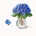 Watercolor illustration. A bouquet of blue flowers in a glass vase. Violets. Royalty Free Stock Photo