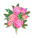 Watercolor illustration, bouquet, boutonniere of peony lush, rose, freehand drawing , drawing from nature.