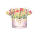 Watercolor illustration of a bouquet of colorful tulips in a box. Bouquet of handmade tulips. Royalty Free Stock Photo