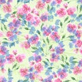 Watercolor illustration of a bouquet field flowers . Hand drawing seamless pattern.