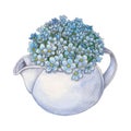 Watercolor illustration with bouquet of forget-me-nots in teapot