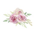 Watercolor illustration of a bouquet of light pink roses