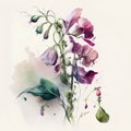 watercolor illustration of a bouquet of sweet pea flowers on a white background