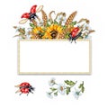 Frame bouquet with daisies, sunflowers, wheat and ladybugs in watercolor Royalty Free Stock Photo