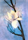 Watercolor illustration of a branch with blooming white magnolia