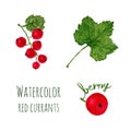 Watercolor illustration with branch of red currant, leaf and berry on a white background. Vector set Royalty Free Stock Photo