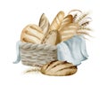 Watercolor illustration of bread in a basket. Royalty Free Stock Photo