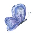 Watercolor illustration with a bright blue butterfly, abstract summer butterfly, isolated element on a white background. Royalty Free Stock Photo