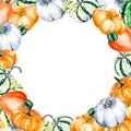 Watercolor illustration of bright pumpkins on a white background. Drawn watercolor frame of vegetables