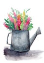 Watercolor illustration of bright and shiny spring flowers and leaves in a tin watering pot