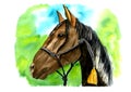 Watercolor illustration of brown horse on the green and blue background