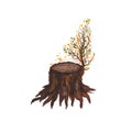 Watercolor illustration of a brown tree stump with a branch and falling autumn leaves. Isolated over white background.