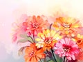 watercolor painting of flowers - zinnias