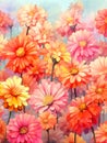watercolor painting of flowers - zinnias