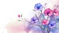 watercolor flower background - morning glories Royalty Free Stock Photo