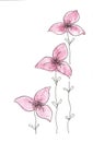 Pink flowers with leaves graphic drawing with watercolor elements on a white background, air and summer flowers for printing on t- Royalty Free Stock Photo