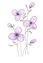 Violet flowers with leaves graphic drawing with watercolor elements on a white background.