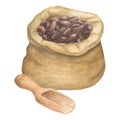 Watercolor illustration of canvas bag for cereals, seeds, flour, powder with cocoa seeds with spatula or scoop. Isolated