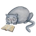 Watercolor fat cat with book illustration Royalty Free Stock Photo