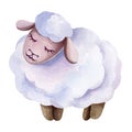 Watercolor illustration of cartoon sheep. Royalty Free Stock Photo