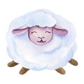 Watercolor illustration of cartoon sheep. Royalty Free Stock Photo