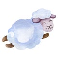 Watercolor illustration of cartoon sheep. Royalty Free Stock Photo