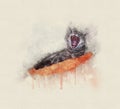 Watercolor illustration of a cat yawning while lying