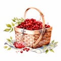 Watercolor Illustration Of A Charming Picnic Basket With Cranberries And Strawberries