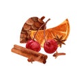 Watercolor illustration of cherry, orange, spices and pine cone on an isolated background. Fruit set of mulled wine ingredients