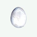 watercolor illustration chicken egg isolated on a white background